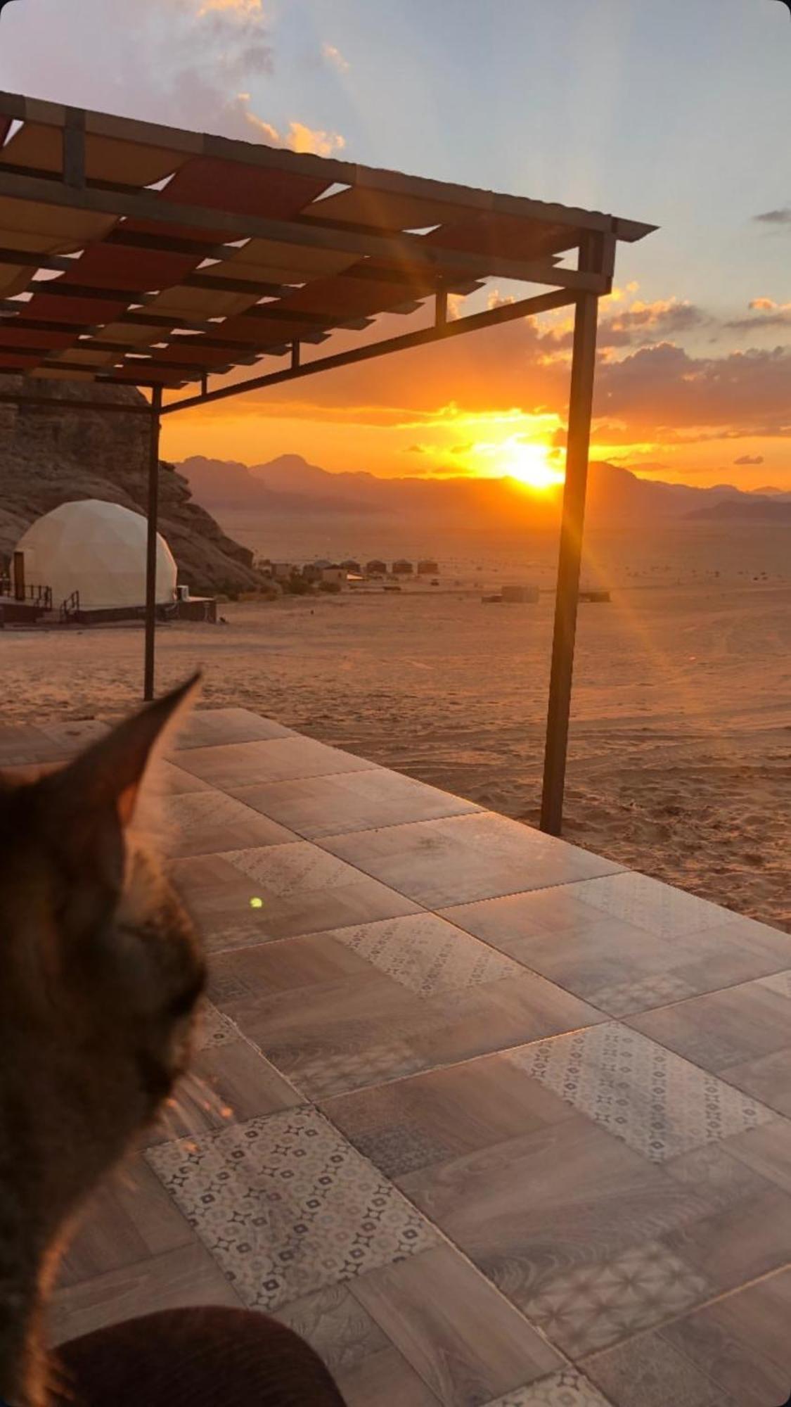 Wadi Rum Mars Camp Екстер'єр фото